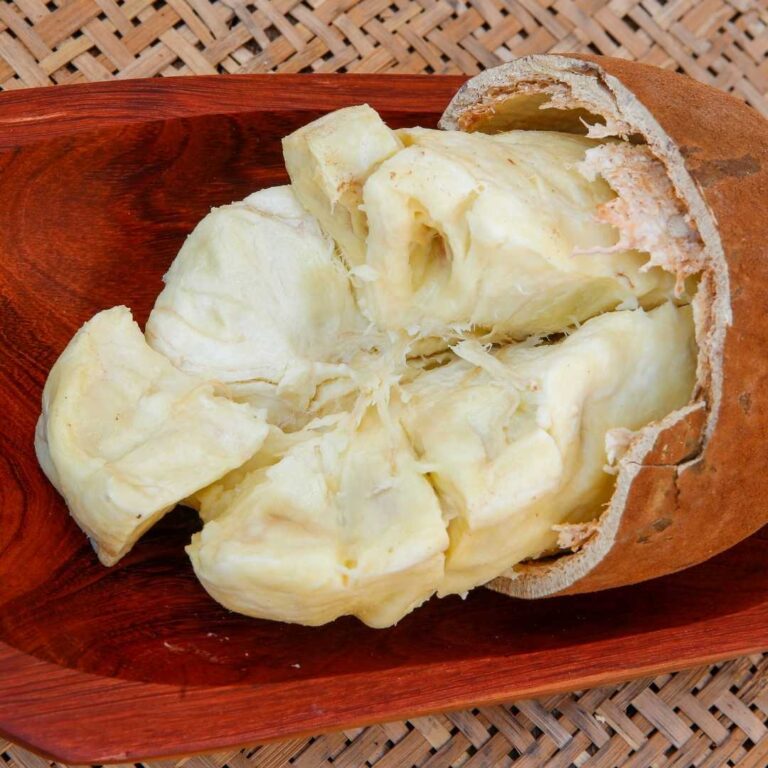 Cupuacu Butter