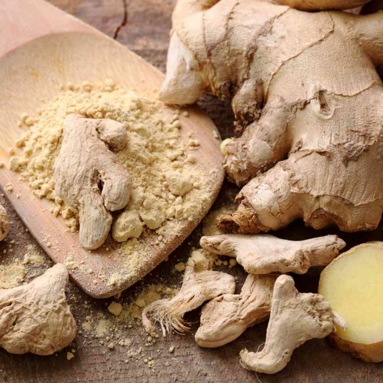 Dermatonics Natural Active Ingredient - Ginger