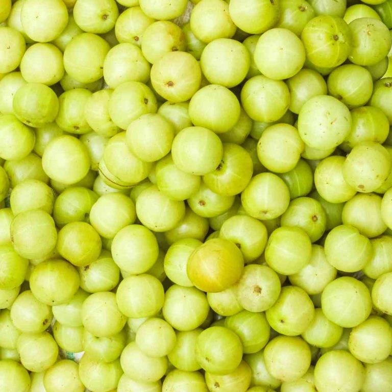 Dermatonics Natural Active Ingredient - Gooseberry