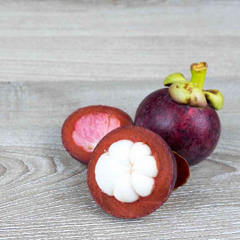 Dermatonics featured natural garden active ingredient - Mangosteen