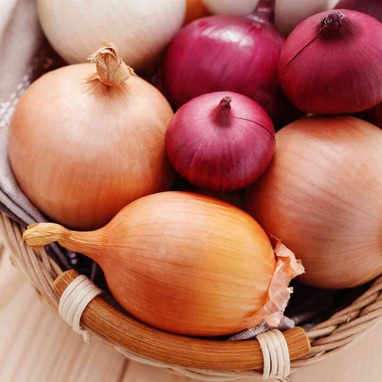 Dermatonics Garden Ingredient - Onion