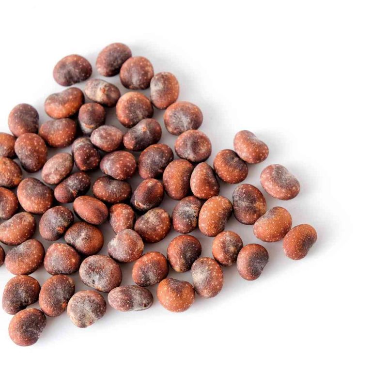 Dermatonics Natural Active Ingredient - Jojoba Oil