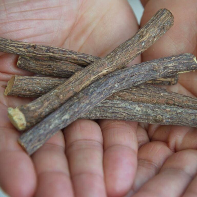 Licorice Extract