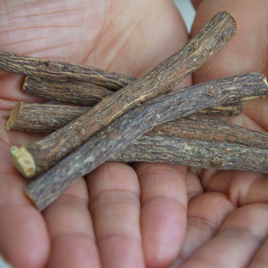 Licorice Extract