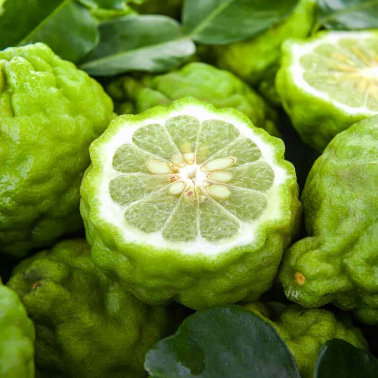 Bergamot Fruit